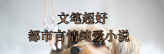 文筆超好的都市言情純愛小說