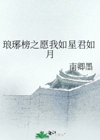 (琅琊榜同人)琅琊榜之愿我如星君如月